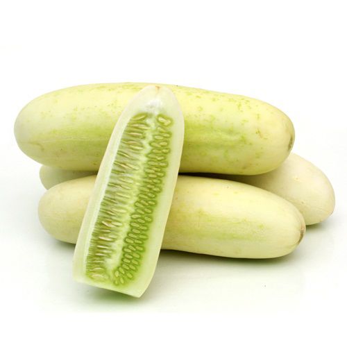 Buy Fresh Cucumber