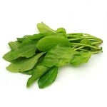 Buy Fresh Spinach