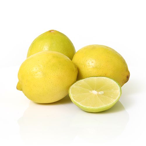 Buy Fresh Lemon