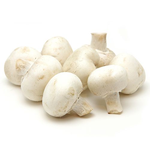 Buy Fresh Mushroom