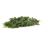 Buy Fresh Curry Leaves