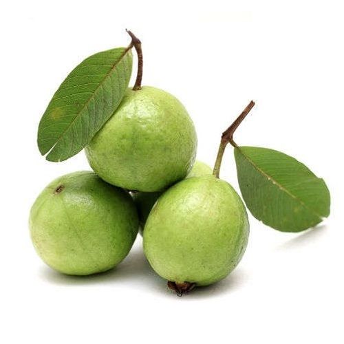 Buy Fresh Guava