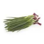 Buy Fresh Spring Onion