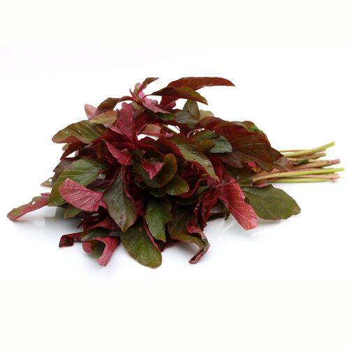 Buy Fresh Amaranthus-Red