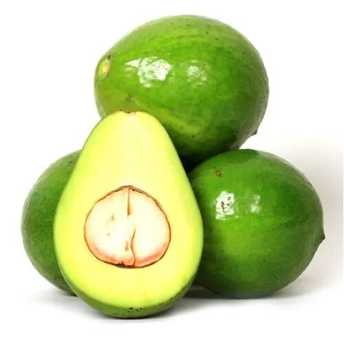 Buy Fresh Avocado