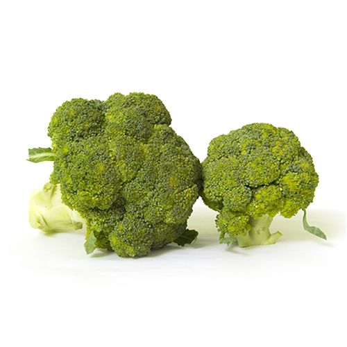 Buy Fresh Broccoli 