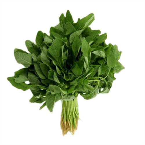 Buy Fresh Amaranthus-Green