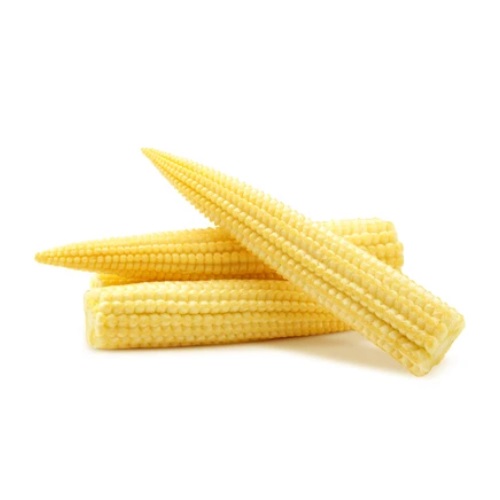 Buy Fresh Baby Corn