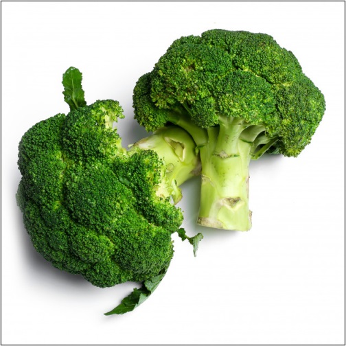 Buy Fresh Broccoli 
