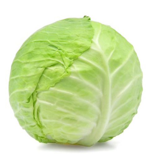 Buy Fresh Cabbage