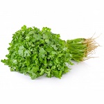 Buy Fresh Coriander