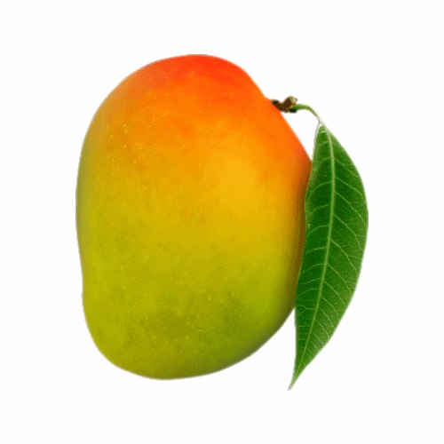 Buy Fresh Devgad Hapus