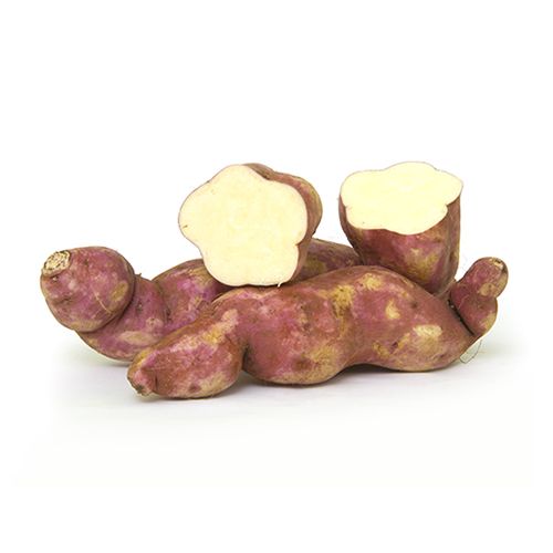 Buy Fresh Sweet Potato