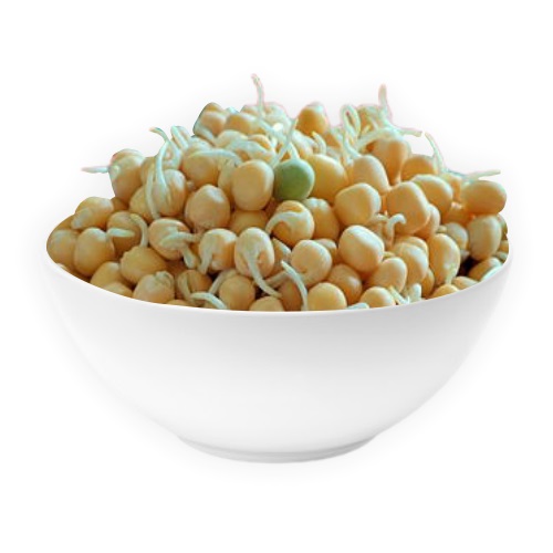 Buy Fresh Yellow Peas Sprouts
